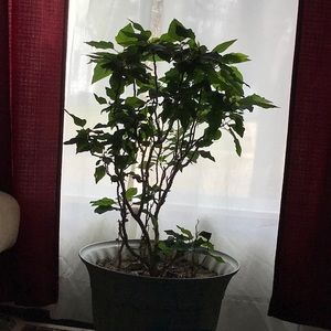 Meet your Posher, Tim